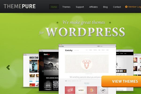 Ultimate Collection of Best Premium Wordpress Theme Store 10