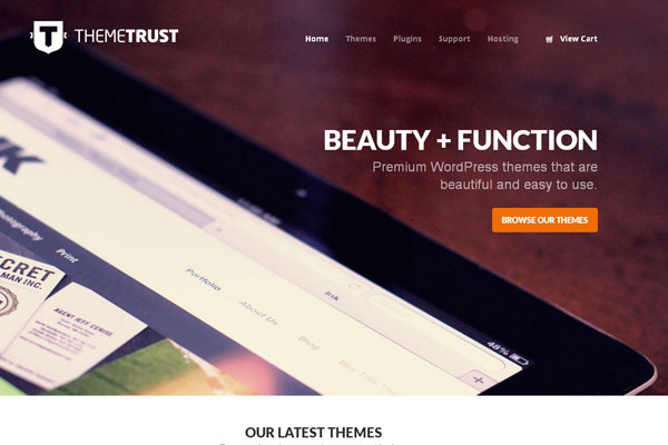 Ultimate Collection of Best Premium Wordpress Theme Store 14