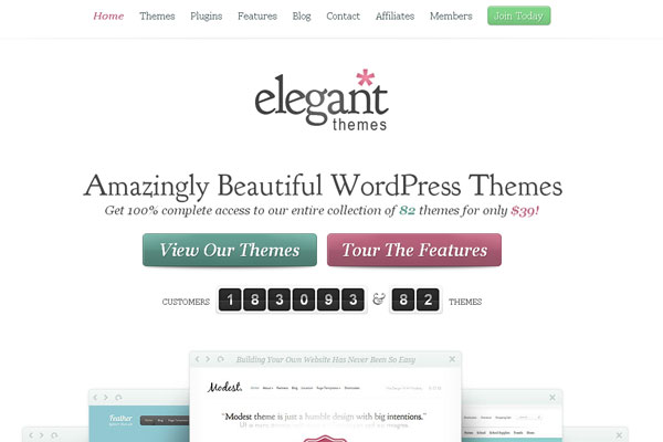 Ultimate Collection of Best Premium Wordpress Theme Store 5