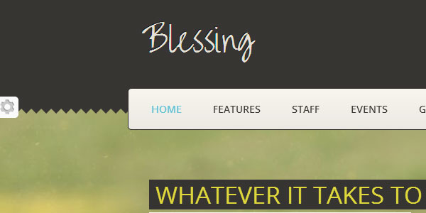 30 NonProfit WordPress Themes That Will Get You That Donation 1 30 NonProfit WordPress Themes That Will Get You That Donation 1