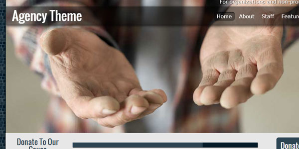 30 NonProfit WordPress Themes That Will Get You That Donation 14 30 NonProfit WordPress Themes That Will Get You That Donation 14