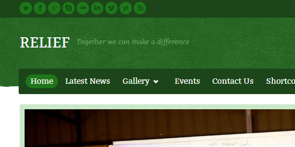 30 NonProfit WordPress Themes That Will Get You That Donation 15 30 NonProfit WordPress Themes That Will Get You That Donation 15