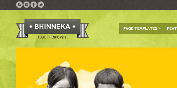 30 NonProfit WordPress Themes That Will Get You That Donation 16 30 NonProfit WordPress Themes That Will Get You That Donation 16
