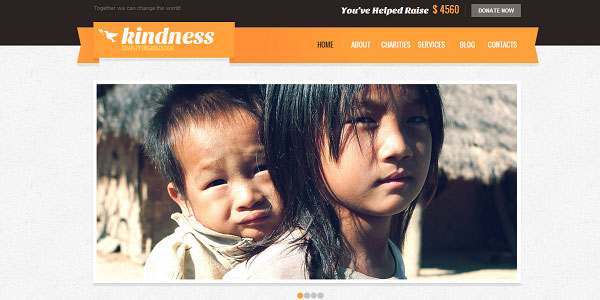 30 NonProfit WordPress Themes That Will Get You That Donation 19 30 NonProfit WordPress Themes That Will Get You That Donation 19