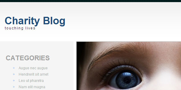30 NonProfit WordPress Themes That Will Get You That Donation 25 30 NonProfit WordPress Themes That Will Get You That Donation 25