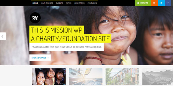 30 NonProfit WordPress Themes That Will Get You That Donation 6 30 NonProfit WordPress Themes That Will Get You That Donation 6