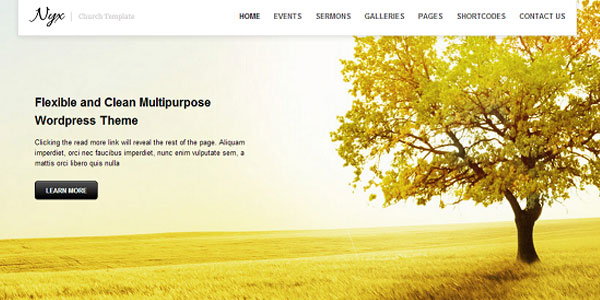 30 NonProfit WordPress Themes That Will Get You That Donation 9 30 NonProfit WordPress Themes That Will Get You That Donation 9