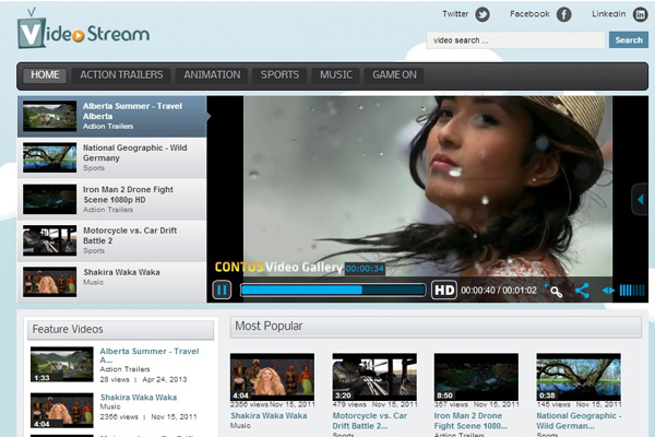Top Downloading Wordpress Video Sharing Themes -2013 1
