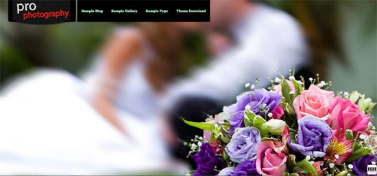 20 Free Hand-Picked Portfolio WordPress Themes 15