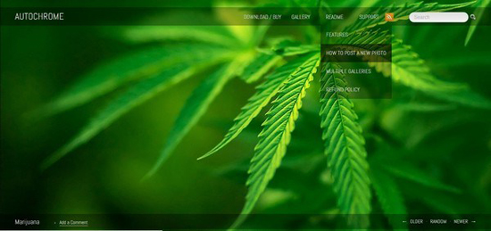 20 Free Hand-Picked Portfolio WordPress Themes 17