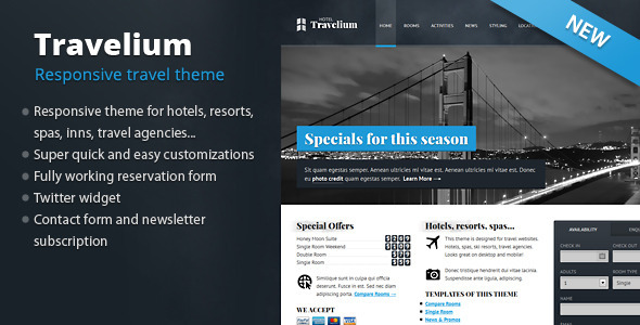20 Beautiful WordPress Themes for Travel Agency 15