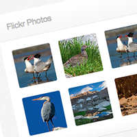 15 Tutorials To Create Custom WordPress Widgets 10