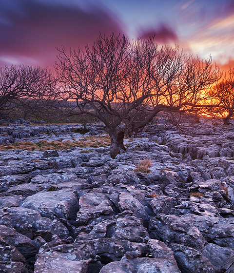 25 Stunning Desktop Wallpapers 24