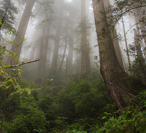 25 Stunning Desktop Wallpapers 3