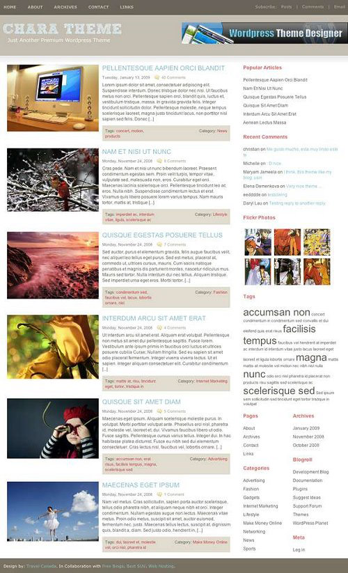 25 Free High Quality WordPress Themes 13