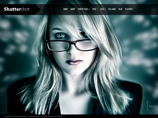 25 Free High Quality WordPress Themes 2
