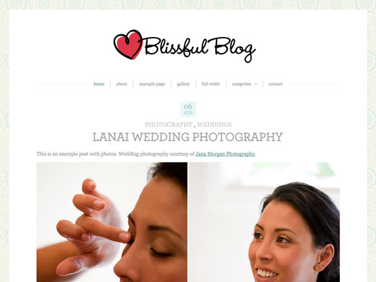 25 Free High Quality WordPress Themes 19