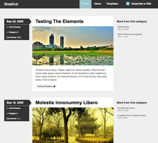 25 Free High Quality WordPress Themes 20
