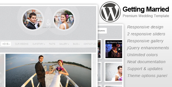 25 Best Premium Wordpress Theme for Magazine and Fun Website 14