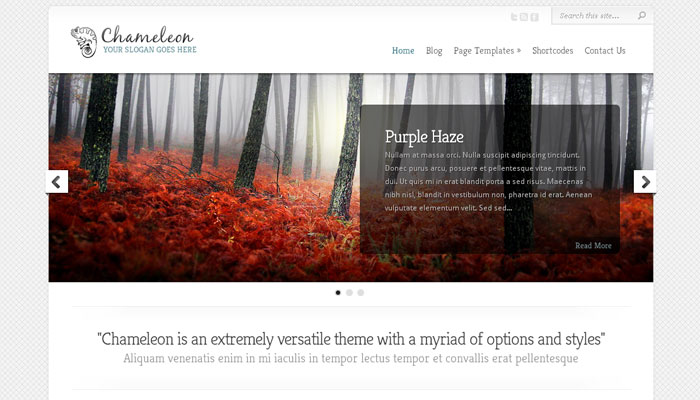 20 Top Quality Business Premium Wordpress Theme 14