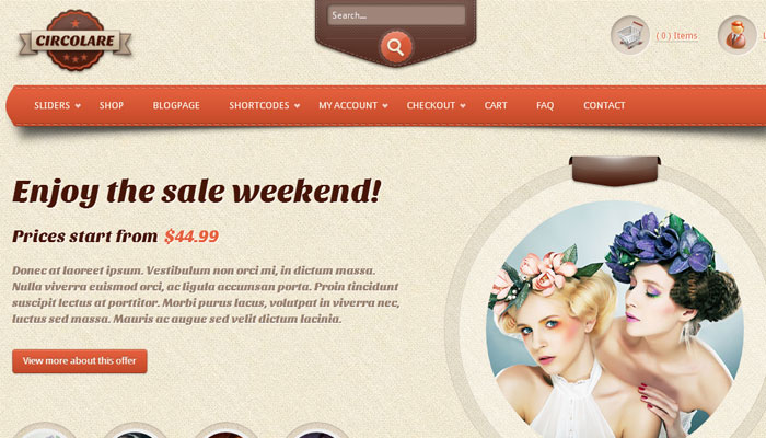 20 Top Quality Business Premium Wordpress Theme 17