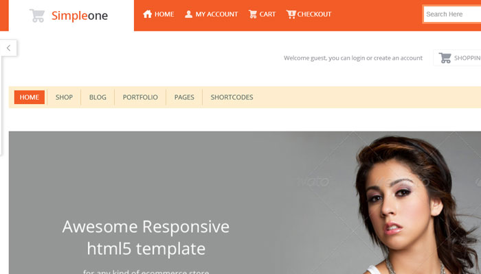 20 Top Quality Business Premium Wordpress Theme 18