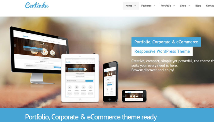 20 Top Quality Business Premium Wordpress Theme 9