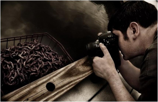 Professional Photography: Ultimate Tips to Get Perfect Picture 3
