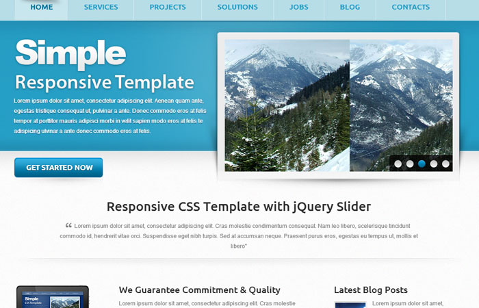 20 Free Responsive High Quality HTML/CSS Website Template 16