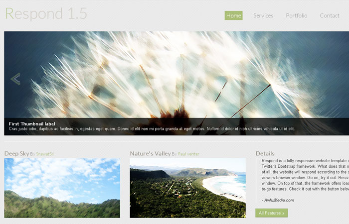 20 Free Responsive High Quality HTML/CSS Website Template 3