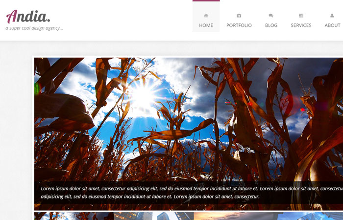 20 Free Responsive High Quality HTML/CSS Website Template 5
