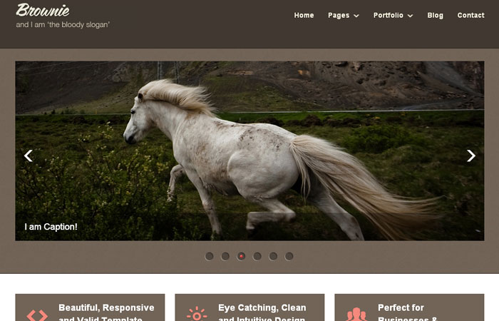 20 Free Responsive High Quality HTML/CSS Website Template 6