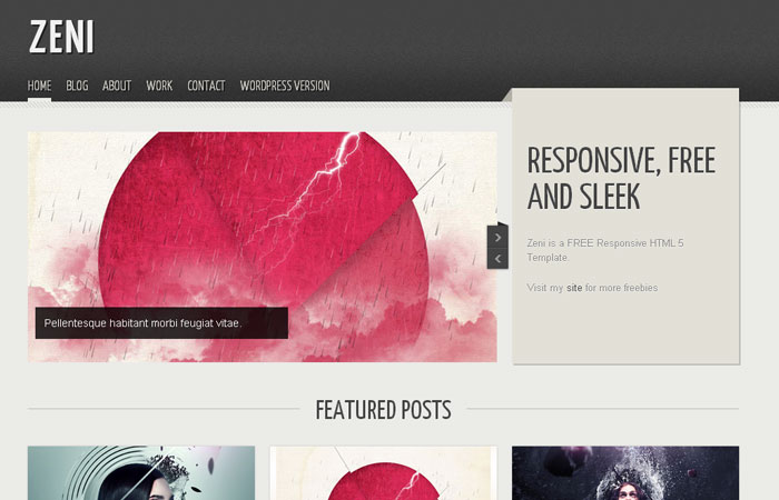 20 Free Responsive High Quality HTML/CSS Website Template 7