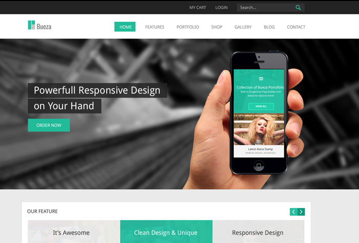 20 Free and Premium PSD Website Templates 14