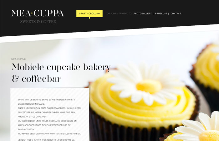 20 Inspiring Website Design for Perfect Color Combination 4