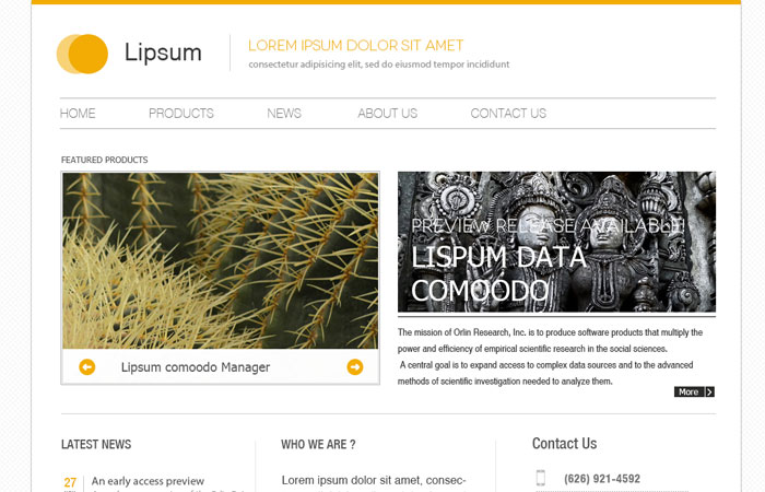20 Beautifully Designed Free PSD Website Template 10