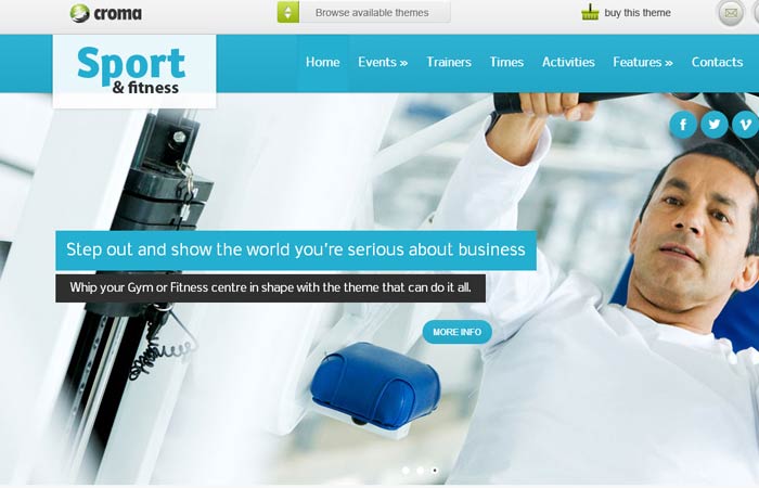 20 Free and Premium Responsive Wordpress Theme 8