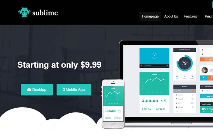 20 Free and Premium Responsive Wordpress Theme 11