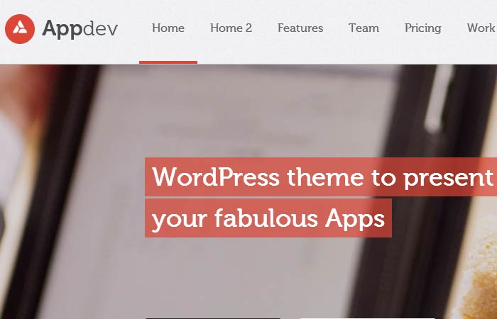 20 Free and Premium Responsive Wordpress Theme 12