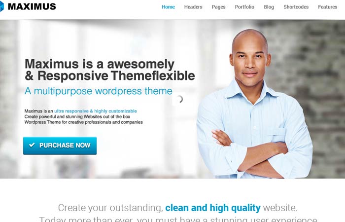 20 Free and Premium Responsive Wordpress Theme 13