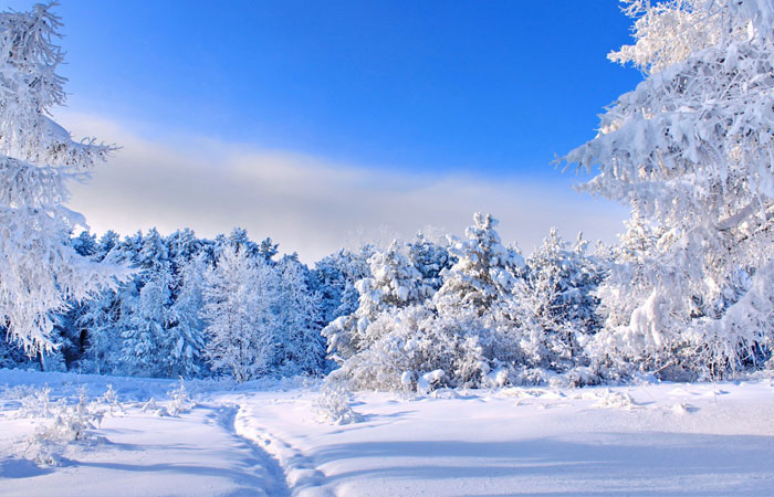 20 Wonderful Winter Wallpaper for Desktop 12