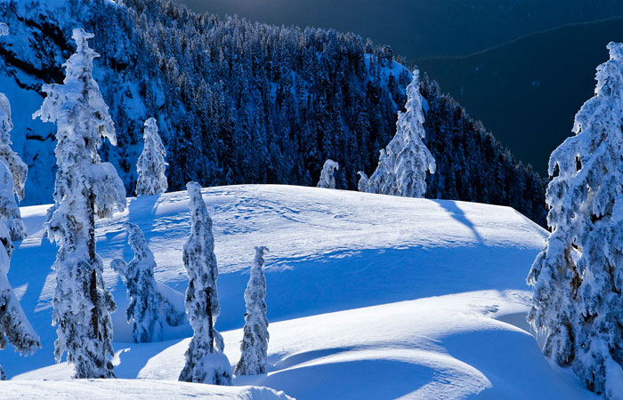 20 Wonderful Winter Wallpaper for Desktop 13