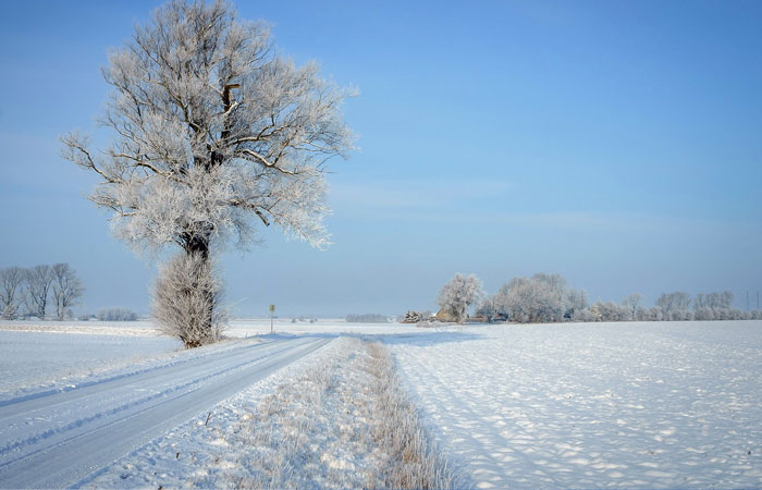 20 Wonderful Winter Wallpaper for Desktop 14
