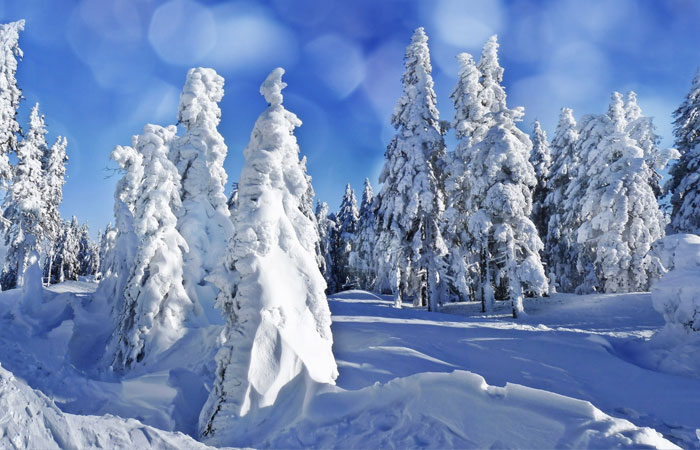 20 Wonderful Winter Wallpaper for Desktop 15