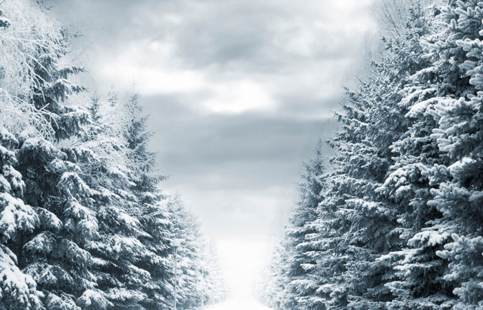 20 Wonderful Winter Wallpaper for Desktop - Djdesignerlab