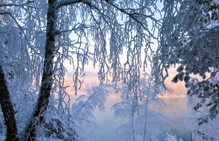 20 Wonderful Winter Wallpaper for Desktop 18