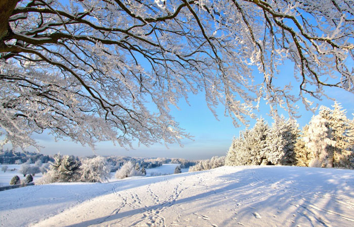 20 Wonderful Winter Wallpaper for Desktop 19