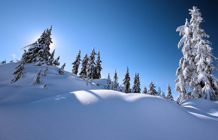 20 Wonderful Winter Wallpaper for Desktop 3