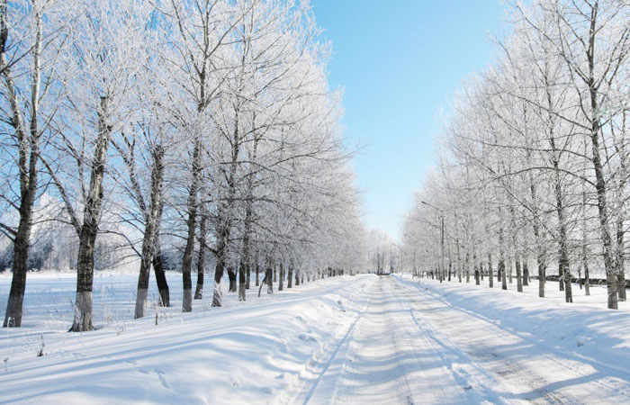 20 Wonderful Winter Wallpaper for Desktop 5