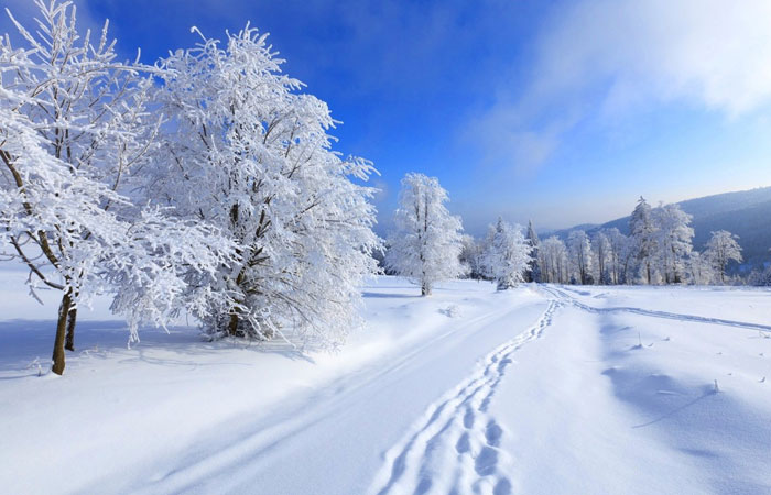 20 Wonderful Winter Wallpaper for Desktop 7